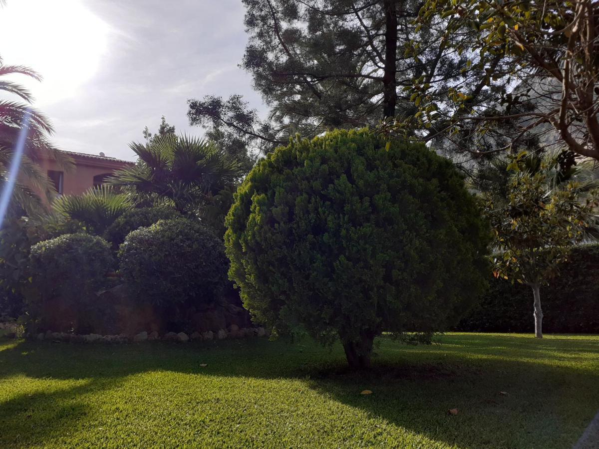 Can Mascarat Altea Ngoại thất bức ảnh